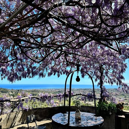 Il Noceto Dell'Etna Bed & Breakfast Giarre Exterior photo